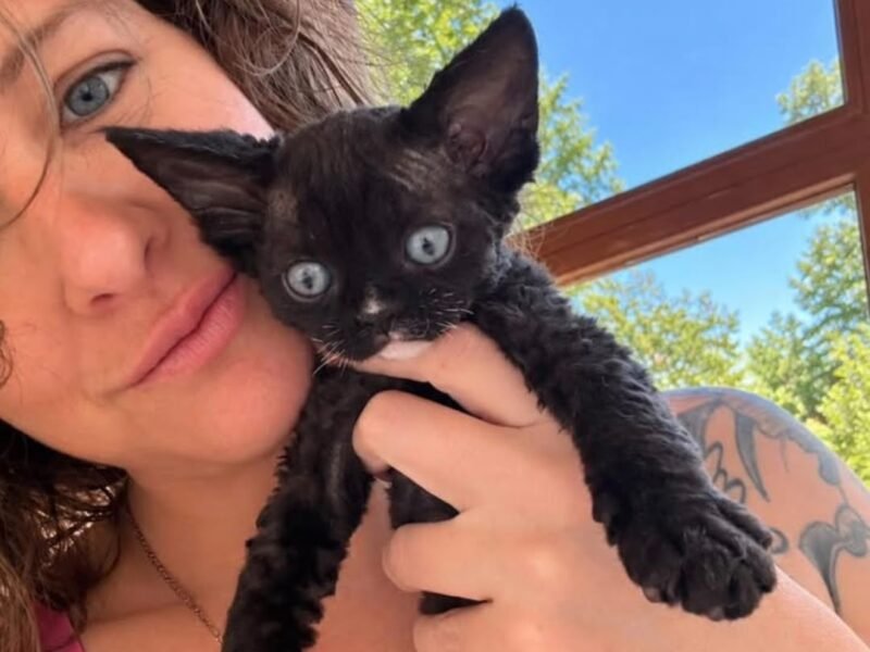 A family at home with their adopted Devon Rex cat