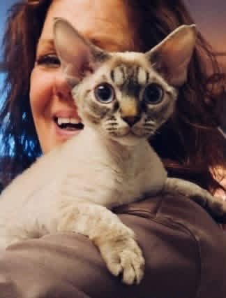 A family at home with their adopted Devon Rex cat