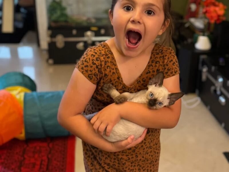 A family at home with their adopted Devon Rex cat